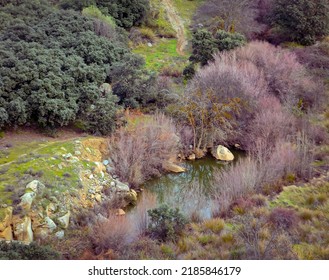 Fall Colors In A Stream Bed Seen From Above