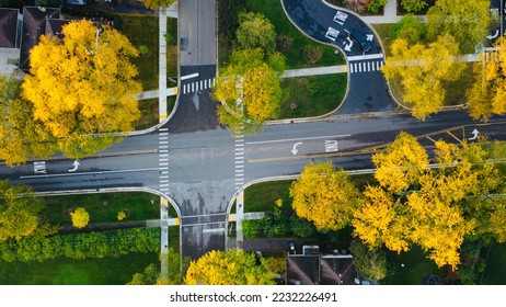 Fall colors in a suburban intersection