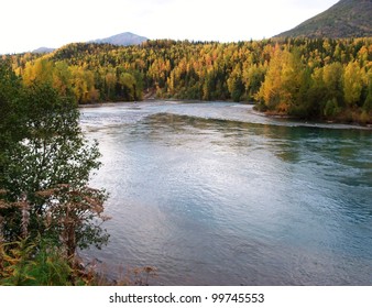 Fall Colors Surround The Famous Kenai River