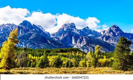Fall Colors and the tall mountain peaks of Middle Teton, Grand Teton, Mount Owen and Teewinot Mountain in the Teton Range of Grand Teton National Park in Wyoming, United States