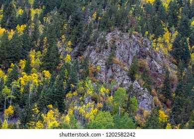 Fall Colors At Taos Ski Valley In Carson National Forest In Northern New Mexico