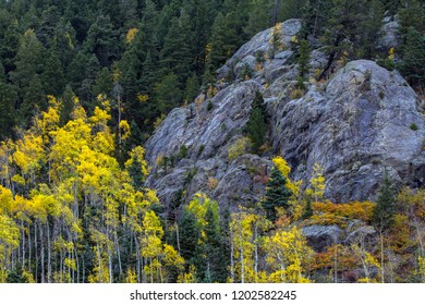 Fall Colors At Taos Ski Valley In Carson National Forest In Northern New Mexico