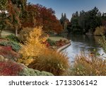 Fall colors at teh UC Davis Arboretum, California, USA, on a cloudless day with blue sky