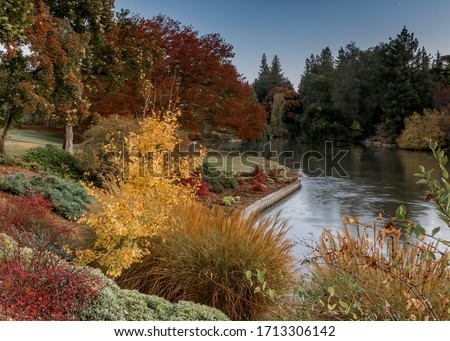 Fall colors at teh UC Davis Arboretum, California, USA, on a cloudless day with blue sky
