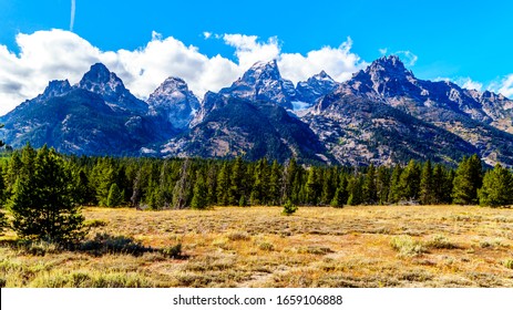 Fall Colors of the trees in front of the tall mountain peaks of Middle Teton, Grand Teton, Mount Owen and Teewinot Mountain in the Teton Range of Grand Teton National Park in Wyoming, United States