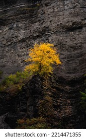 Fall Colors In Upstate NY