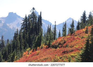 Fall Colors In The West Coast Mountains