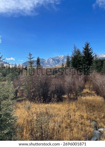 Fall colours and hints of winter