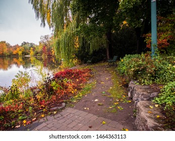 Fall Colours Near Georgetown Ontario