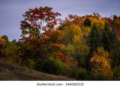 Fall Colours Near Georgetown Ontario