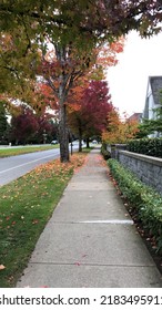 Fall Colours Vancouver UBC Colourful Nature October 