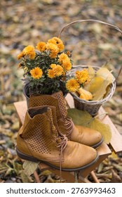 Fall composition of brown leather boots with orange chrysanthemum flowers outdoors in a forest