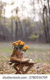 Fall composition of brown leather boots with orange chrysanthemum flowers outdoors in a forest