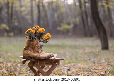 Fall composition of brown leather boots with orange chrysanthemum flowers outdoors in a forest