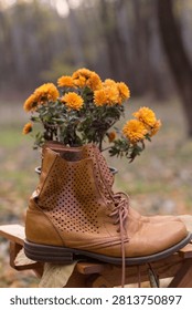 Fall composition of brown leather boots with orange chrysanthemum flowers outdoors in a forest