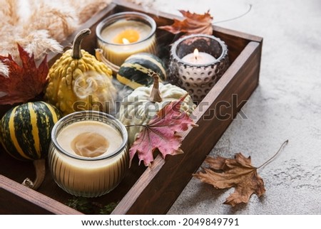 Fall composition with multi color pumpkins on rustic background