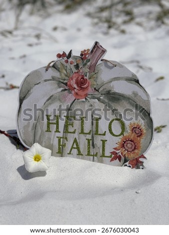 Fall concept with hello fall pumpkin shaped sign on white beach sand with a morning glory flower 