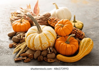 Fall copyspace with decorative pumpkins, nuts and corn