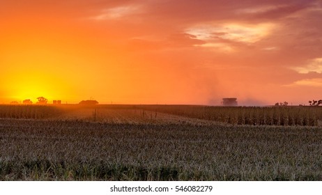 Fall Corn Harvest Sunset