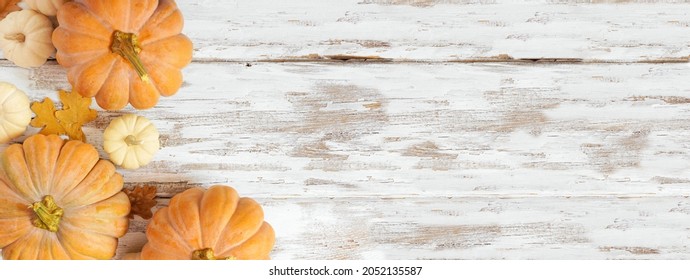 Fall Corner Border With Frosty Orange Pumpkins On A Rustic White Wood Banner Background. Overhead View With Copy Space.