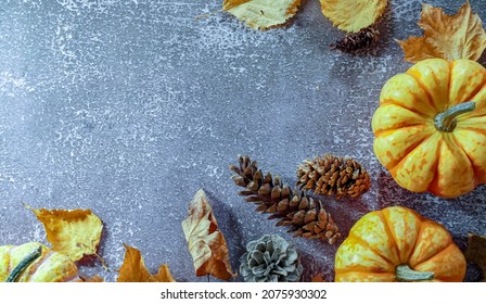 Fall Corner Border With Frosty Orange Pumpkins On A Rustic White Wood Banner Background. Overhead View With Copy Space.