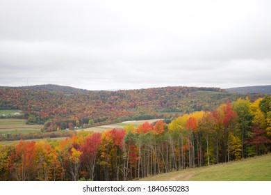 Fall Country Side In Garrett County Maryland