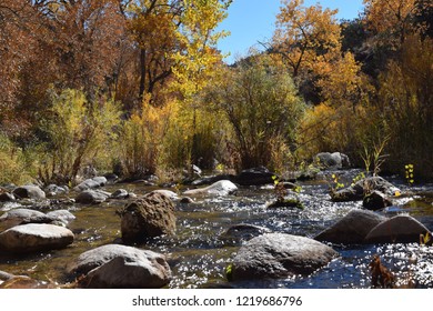 Fall Creek autumn colors 