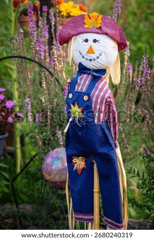 Fall Cute Scarecrows Decoration in the Garden 