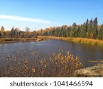 Fall day at the Marsh