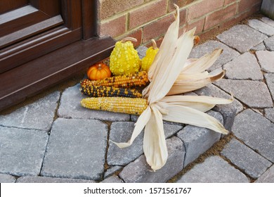 Fall Decoration Of Multi-coloured Indian Corn And Ornamental Gourds At The Front Door Of A House - With Copy Space