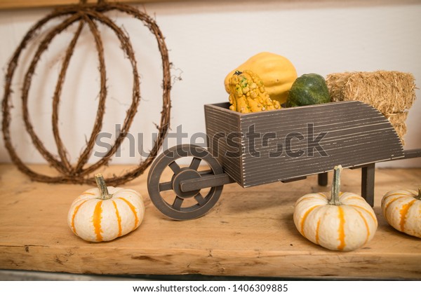 Fall Decorations Wedding Autumn Bride Groom Stock Photo Edit Now