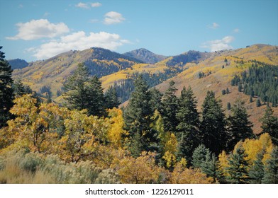 Fall in Deer Valley. Early October at Deer Valley resort in the Wasatch Mountains of Utah at the peak of Fall colors. 

