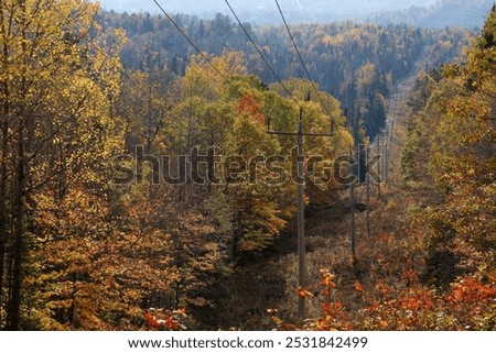
Fall in Doncaster River Park (Parc de la Rivière Doncaster )