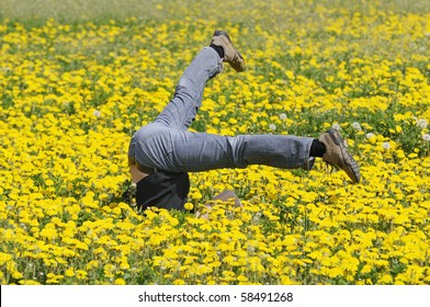 fall down in the flowers