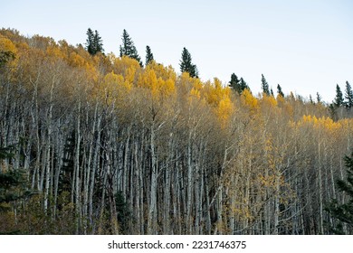Fall Estes Park Colorado Hiking Autumn - Shutterstock ID 2231746375