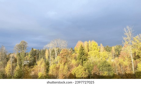 Fall in Fagerstrand Norway, jogging forest track scenic view, autumn seaso