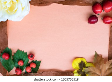 Fall flat lay  frame composition of leaves, berries, small wild apples with empty space in the middle on light pink paper background