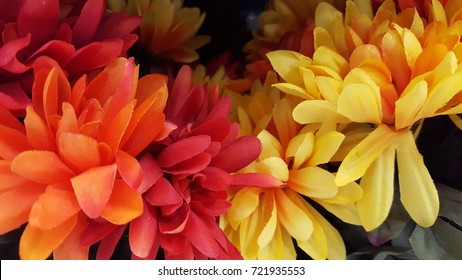 Fall Flowers Colorful Background