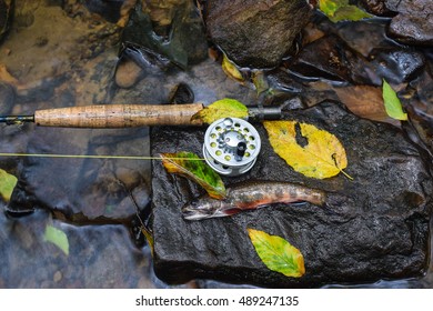 Fall Fly Fishing For Native Brook Trout In The Appalachian Mountains.