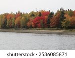 Fall foilage colors Middle Island Miramichi Nb