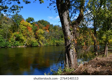 Fall foilage reflected on a tranquil lake shore