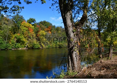 Fall foilage reflected on a tranquil lake shore