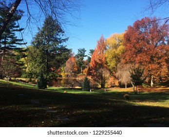 Fall Foliage at 