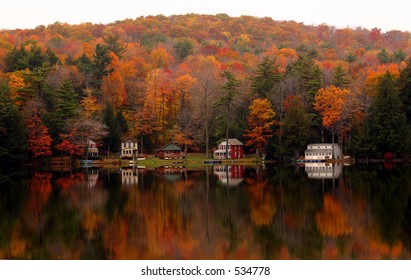 fall foliage