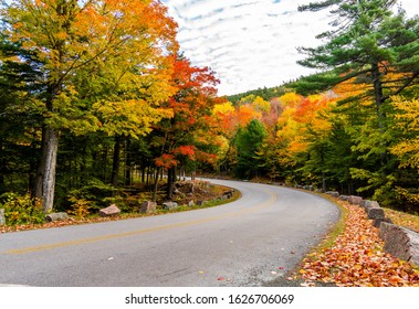 Fall Foliage In Acadia National Park Maine