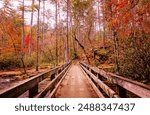 Fall foliage adds splashes of color at the trailhead to Abrams Falls, Nov. 2, 2017, in Cades Cove at Great Smoky Mountains National Park in Tennessee. 