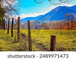 Fall foliage adds splashes of color in Cades Cove, Nov. 2, 2017, at Great Smoky Mountains National Park in Tennessee. 