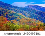 Fall foliage adds splashes of color in Cades Cove, Nov. 2, 2017, at Great Smoky Mountains National Park in Tennessee. 