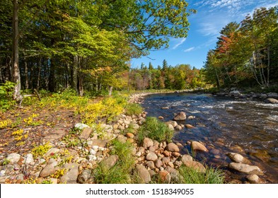 Fall foliage in the Adirondack Mountains along the Wilmington flume trail