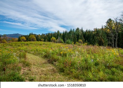 Fall foliage in the Adirondack Mountains in Lake Placid NY
